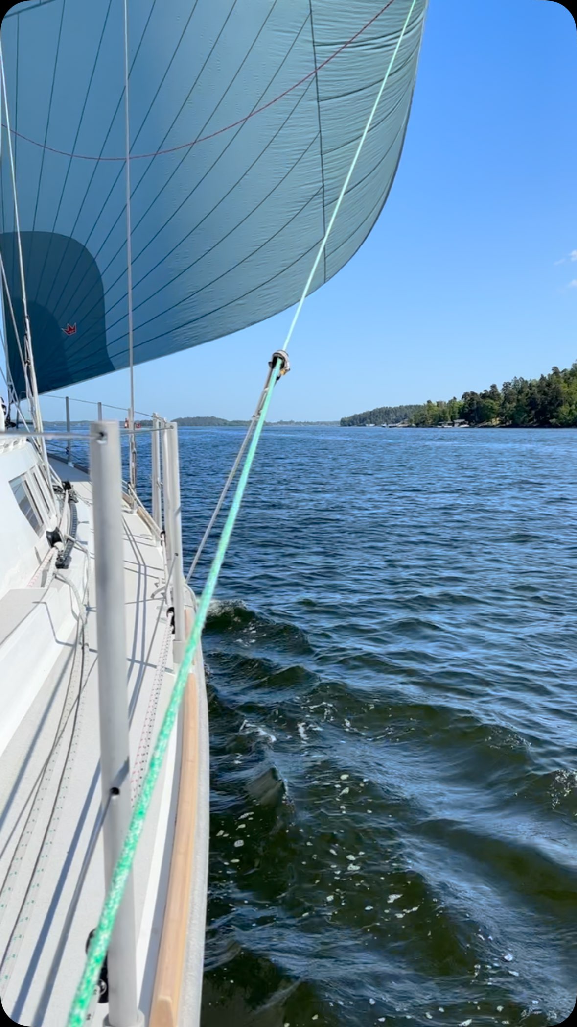 They say a picture says more than thousand words - authentic sound 😊 Big thanks to Västerås Segelservice for the new halyard it works perfectly 🙏🏻

#bushpoint #sailingcouple #boreal #aluminiumsailboat #highlatitudesailboat #sailinglifestyle #västeråssegelservice